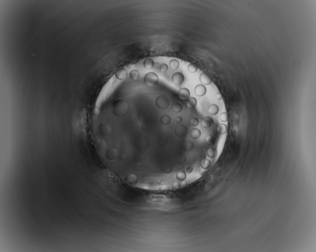 X0000094900519200712271455