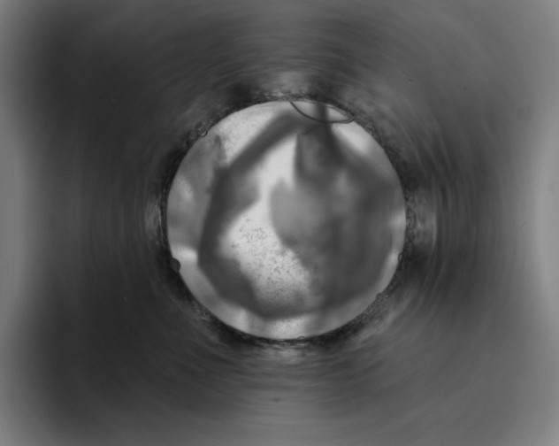 X0000094900523200712271455