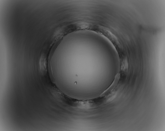X0000094900524200712271455