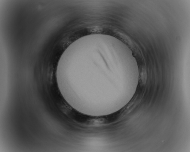 X0000094900525200712271455