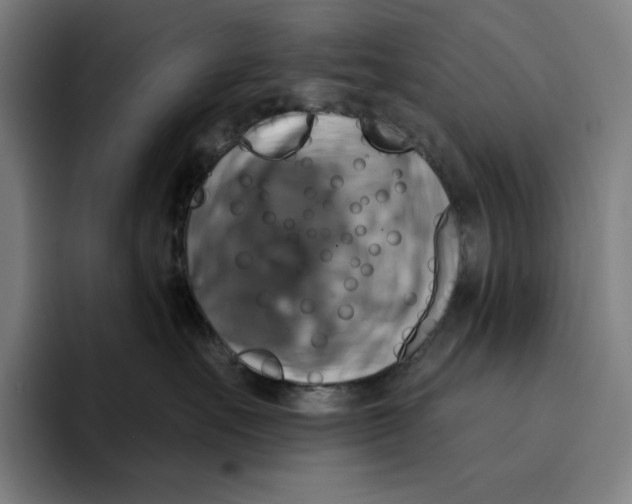 X0000094900527200712271455