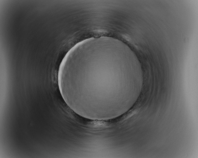 X0000094900528200712271455