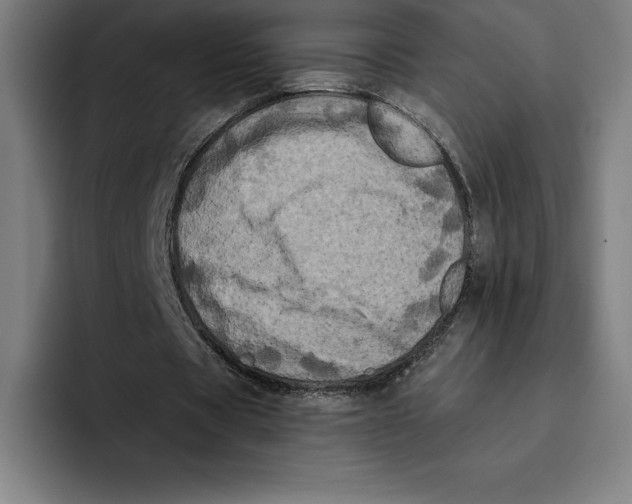 X0000094900529200712271454