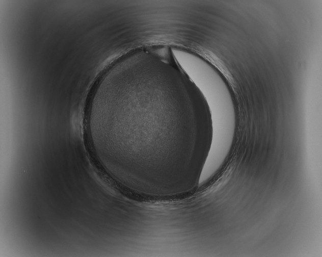 X0000094900530200712271454