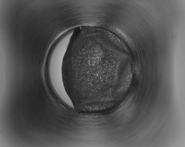 X0000094900532200712271454