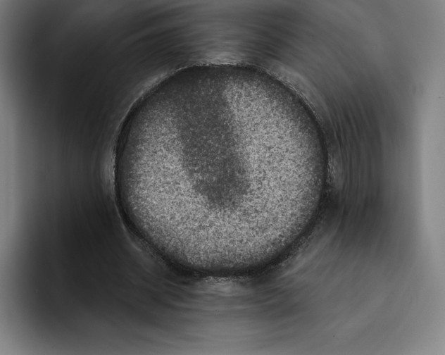 X0000094900534200712271454