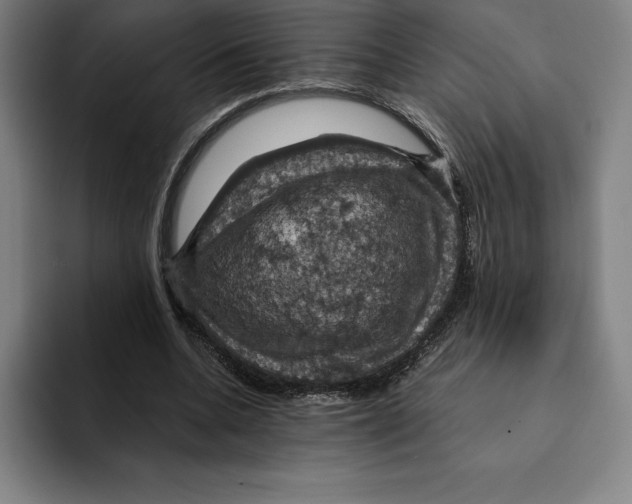 X0000094900536200712271454