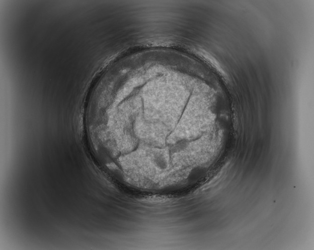 X0000094900537200712271454