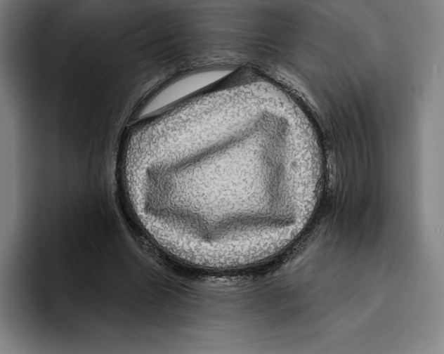 X0000094900538200712271454