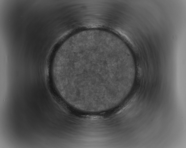 X0000094900539200712271454
