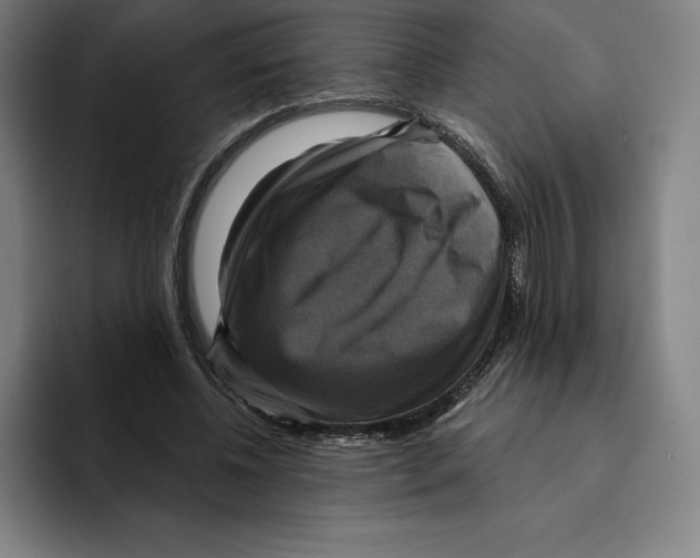 X0000094900540200712271454