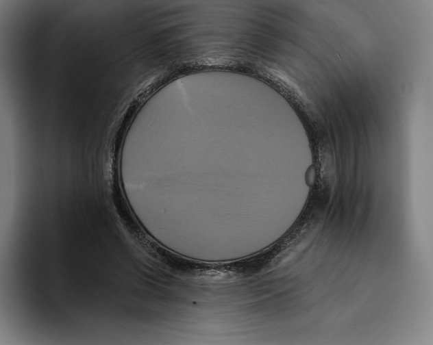 X0000094900542200712271454