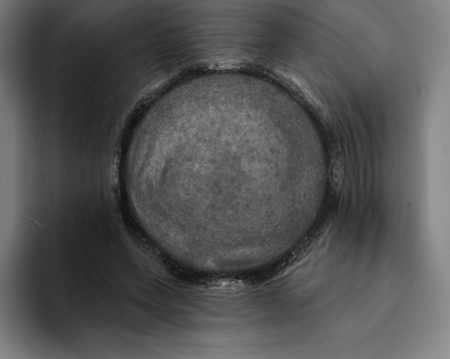 X0000094900543200712271454