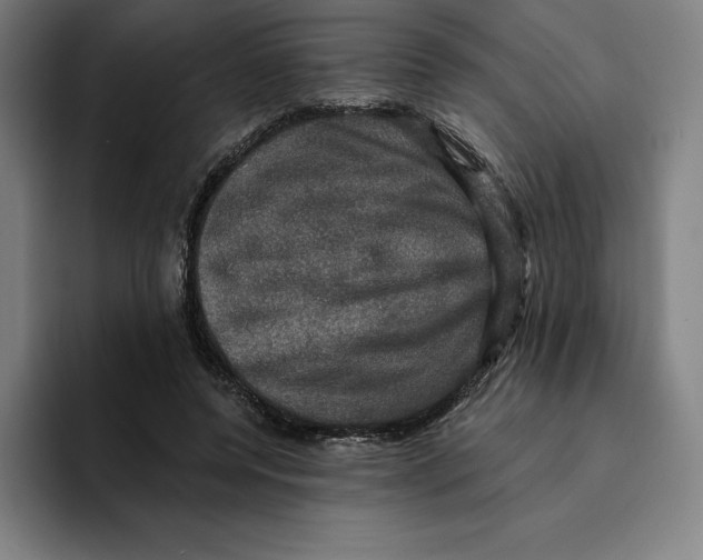 X0000094900544200712271454