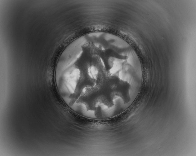 X0000094900545200712271454