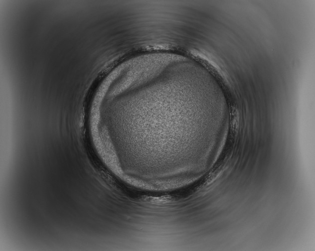 X0000094900548200712271454