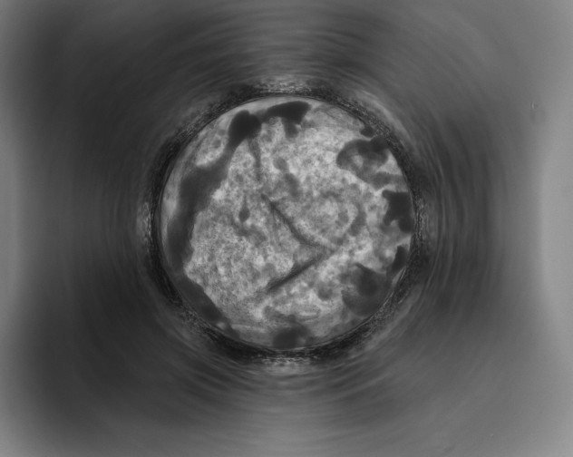 X0000094900549200712271454