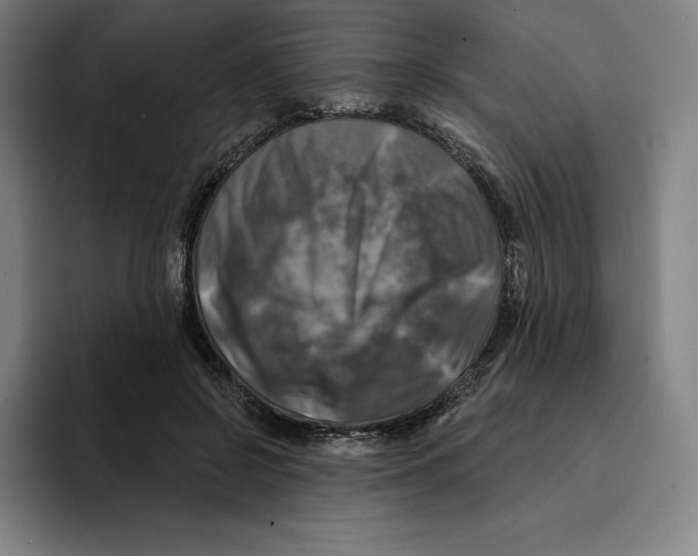 X0000094900550200712271454