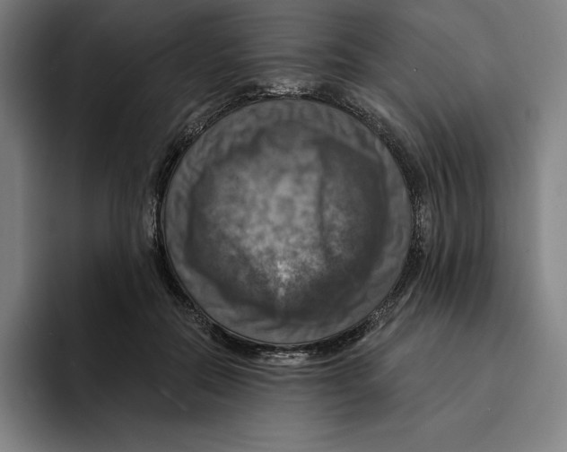 X0000094900554200712271454
