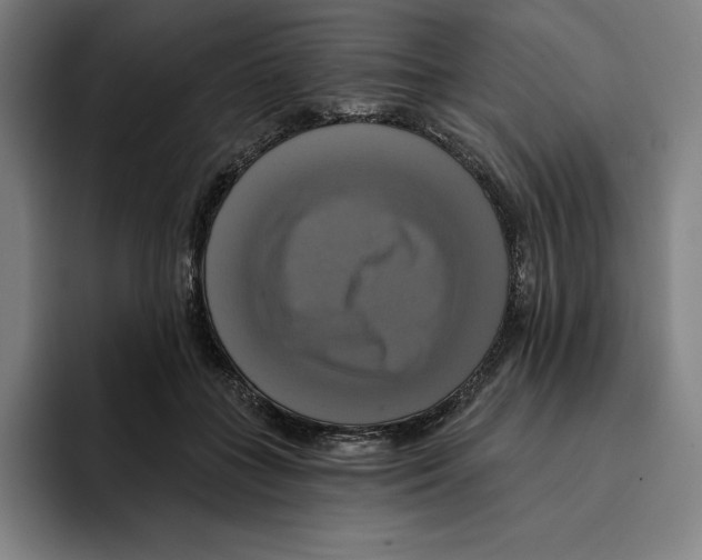 X0000094900555200712271454