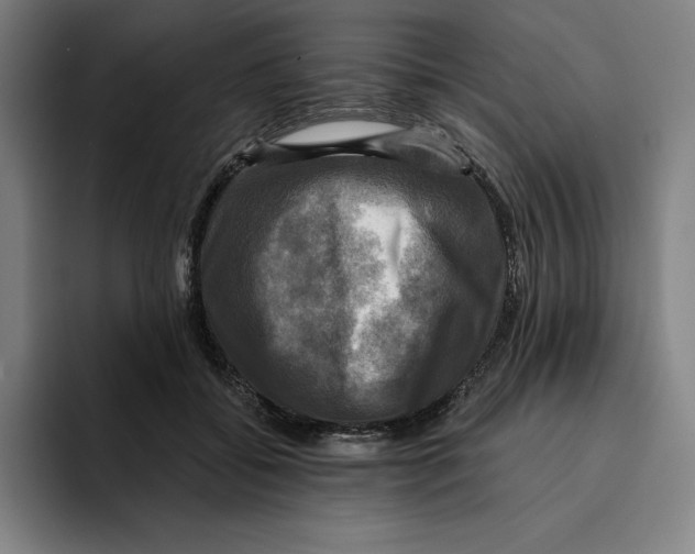 X0000094900556200712271454