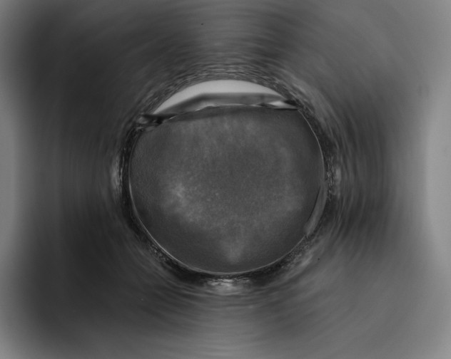 X0000094900558200712271454