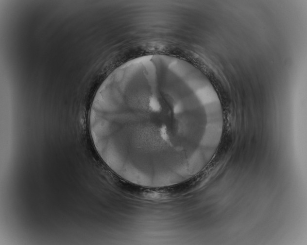 X0000094900561200712271454