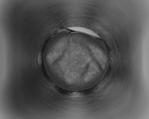 X0000094900562200712271454