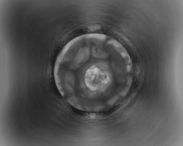 X0000094900565200712271454