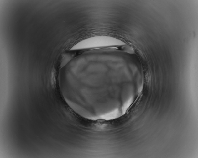 X0000094900570200712271455