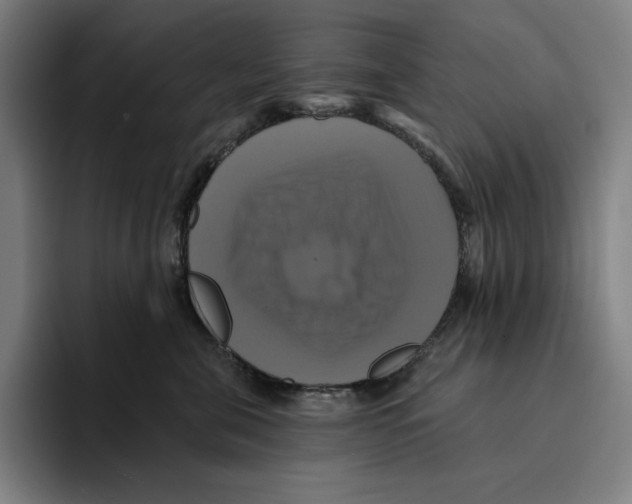 X0000094900571200712271455