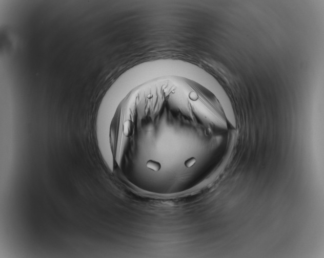 X0000094900572200712271455