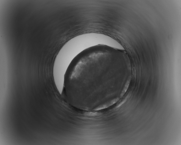 X0000094900575200712271455