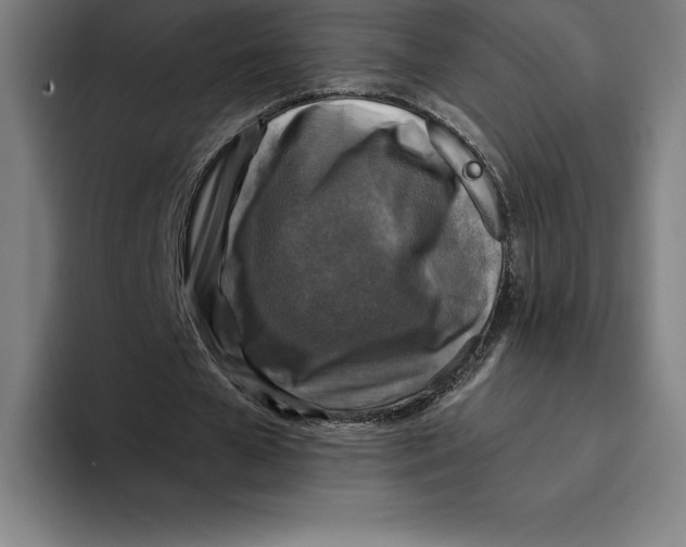 X0000094900577200712271454