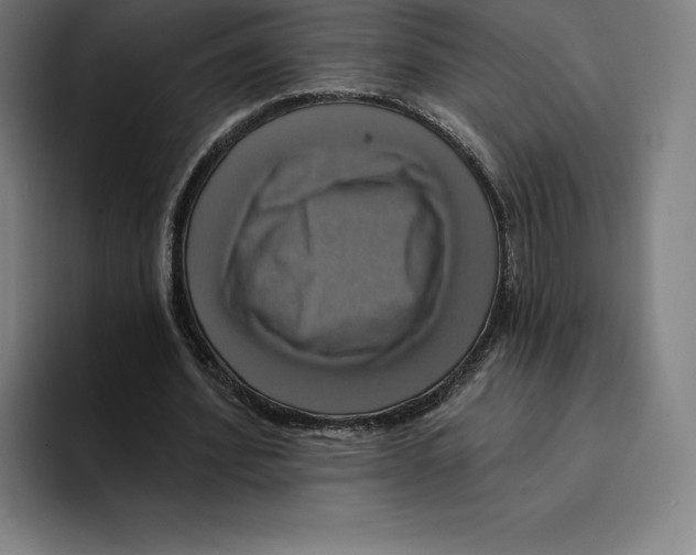 X0000094900580200712271454