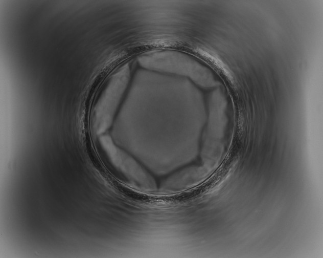 X0000094900585200712271454