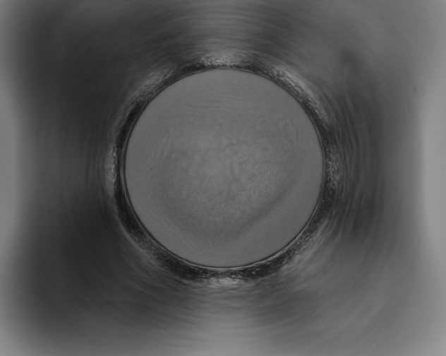 X0000094900586200712271454