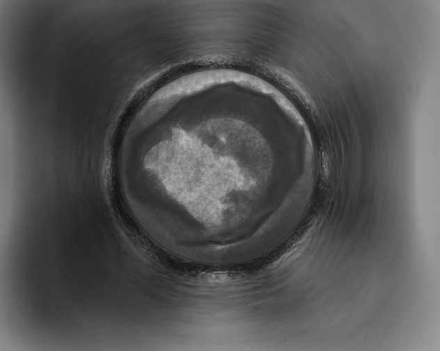 X0000094900588200712271454