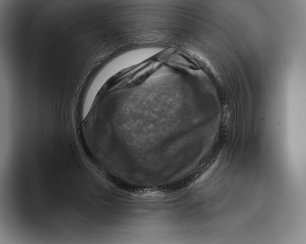 X0000094900589200712271454