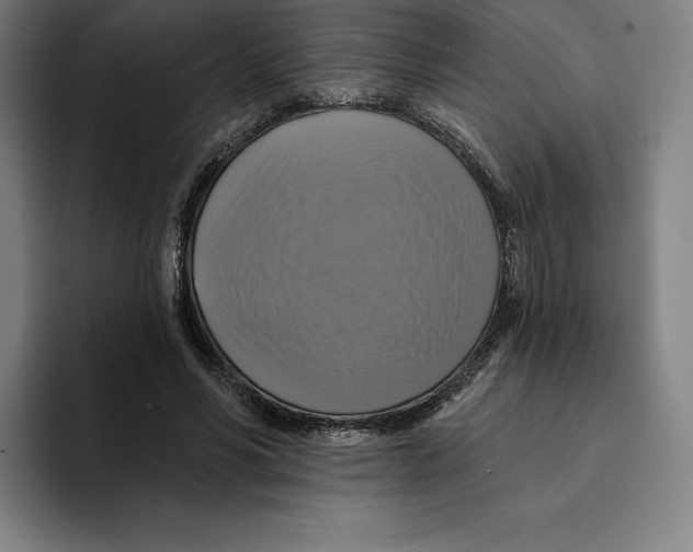 X0000094900590200712271454