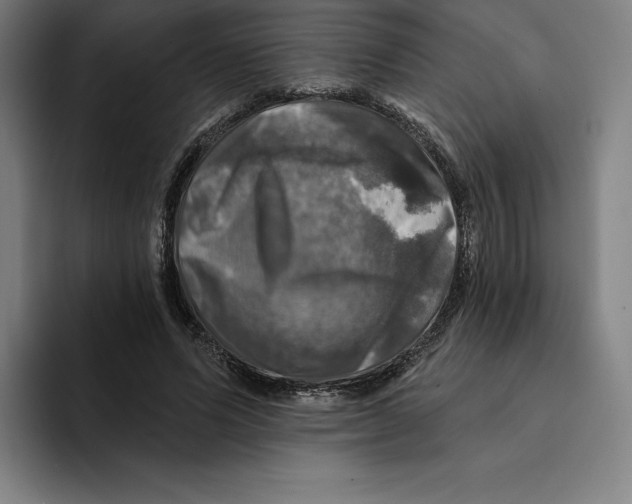 X0000094900591200712271454