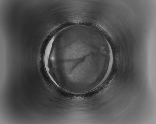 X0000094900592200712271454