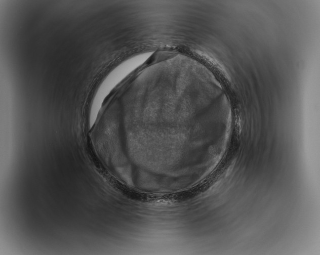 X0000094900593200712271454