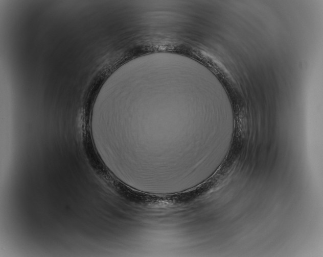 X0000094900594200712271454