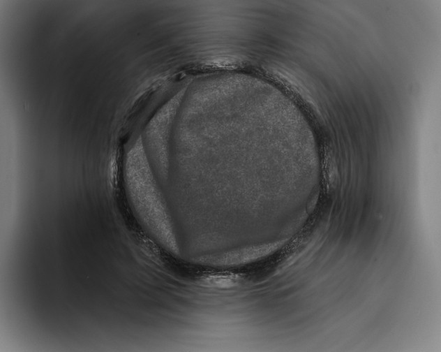 X0000094900595200712271454
