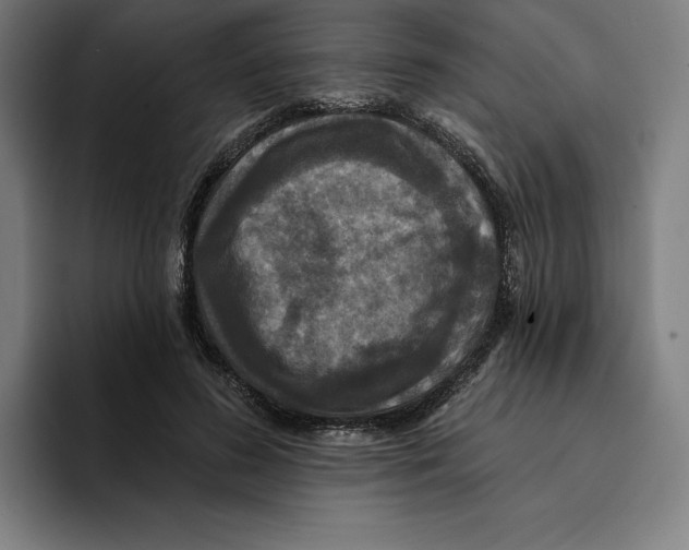 X0000094900596200712271454