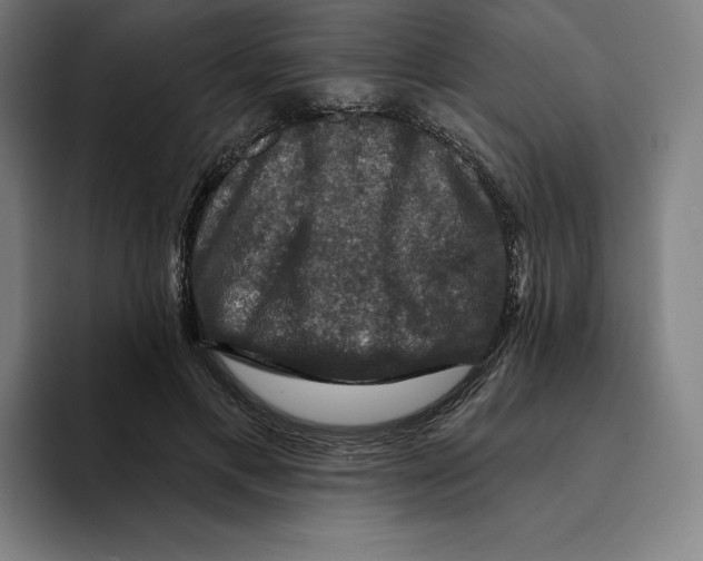 X0000094900597200712271454