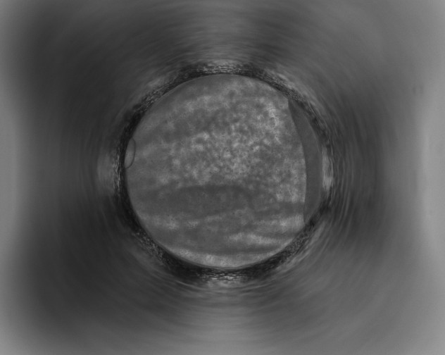 X0000094900599200712271454
