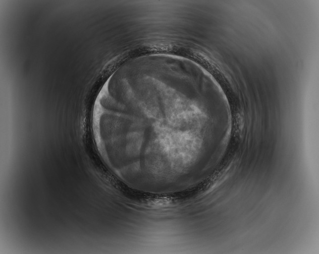 X0000094900600200712271454
