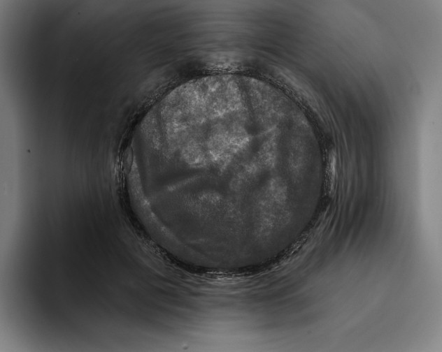 X0000094900601200712271454